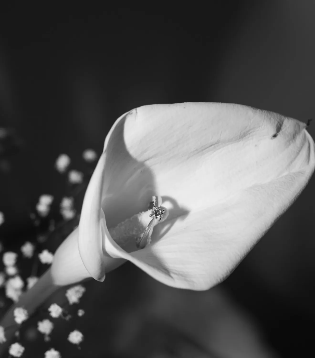 Lvnar Studio · 14